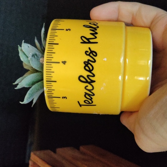 Planter for teacher with faux succulent - Picture 2 of 11